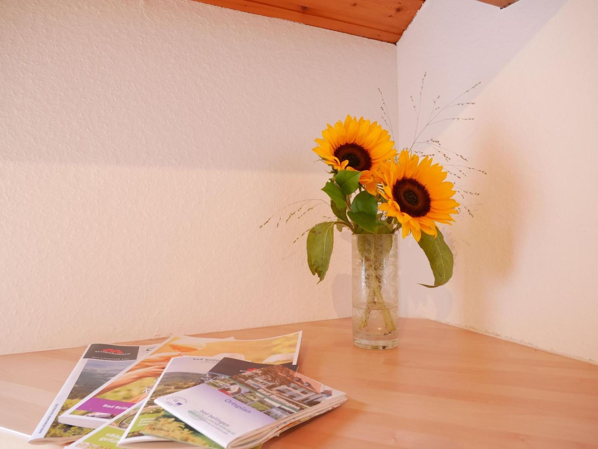 Gaestehaus Gaby Bad Bellingen Dış mekan fotoğraf