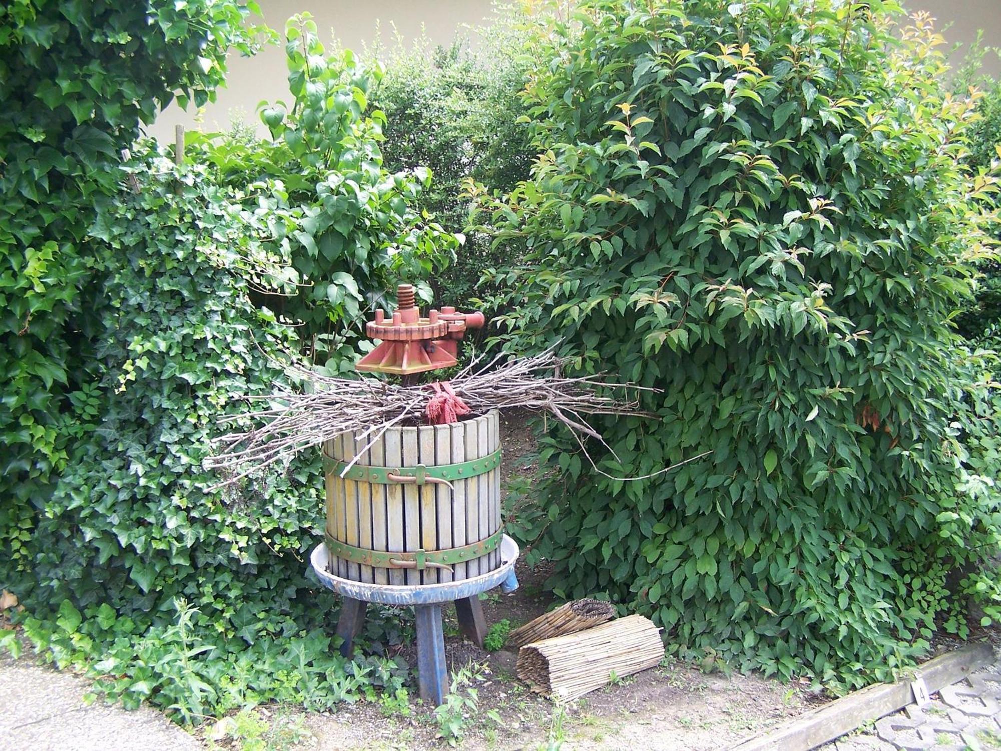 Gaestehaus Gaby Bad Bellingen Dış mekan fotoğraf